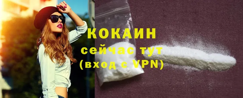 omg как войти  Грязи  Cocaine Боливия 